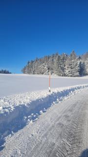 Ferienbungalow Sonnenwald Bayerischer Wald - 9