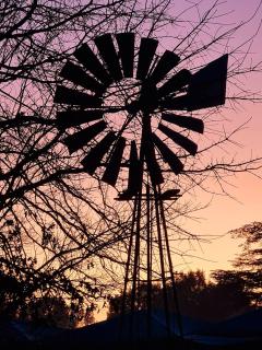 Kaleb Guesthouse - 7