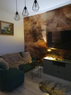 Apartment J&S nr 77, blisko Aquapark Reda, Trójmiasto - 9