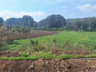 Ubucuti Gorilla Lodge - 6