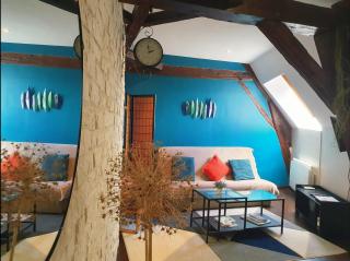 Appartement entier - Centre ville - Batiment historique - 9