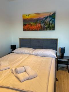 MaMa-Apartments - Haus Martina im Herzen der Rhön - 3 einzelbuchbare moderne Wohnungen für 2-8 Personen, Terrasse, Balkon, Garten, Ski und E-Bike Keller, Lounge, freies Wlan, familienfreundlich - 9