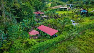 Cabañas Caeli, El Toucan, Peaceful Rainforest Retreat with Stunning Views - Fortuna - 9