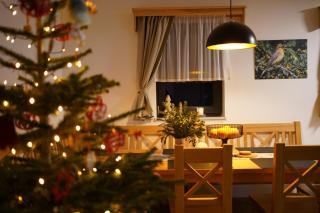 Rodinný apartmán Čistá - Černý Dŭl - 1