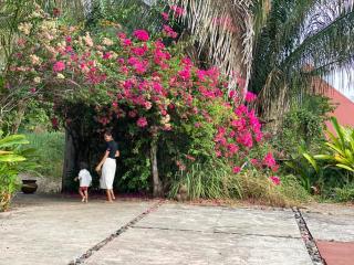 The Secret Garden Home with Modern Tree House - 9