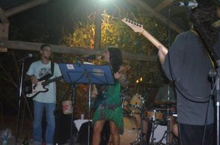 The Secret Garden Home with Modern Tree House - 6