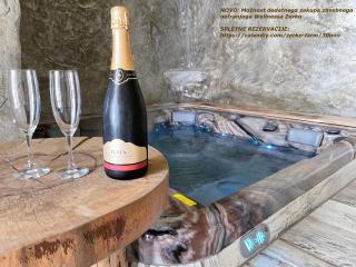 Zerko Holiday Home - Vineyard Chalet With Sauna and Jacuzzi FREE - Mirna - 9