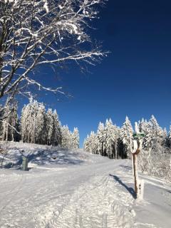 Ferienhaus Mathilda Eins - 3