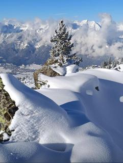 Family & Friends - 0