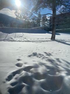 Metabief Mont d or - 0