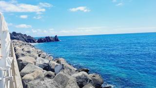 Chalé Funchal - City view - 6