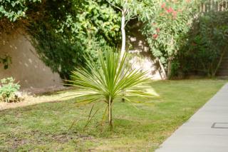 "Casa Amalia Apartamentos" Plaza Italia y Av Arístides a 50mts, lugar con jardín - 4