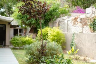 "Casa Amalia Apartamentos" Plaza Italia y Av Arístides a 50mts, lugar con jardín - 7