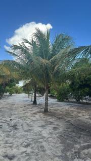 A place to rest and enjoy with the family! - 6