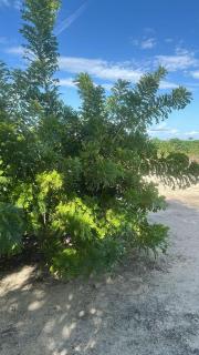 A place to rest and enjoy with the family! - 2