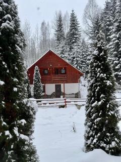 Cabana SVA Bilbor - 3