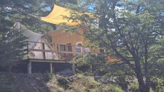 Tinaja, río y bosque en Conguillío - 8