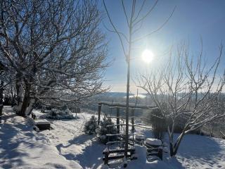 Екосадиба Лісова Казка - 9