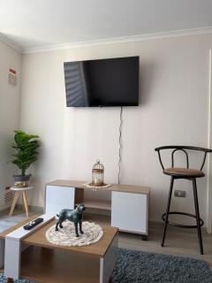 Depto en Pucón 2 piezas 2 baños - Pucón - 0