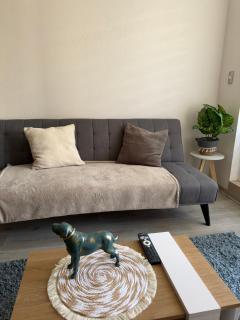 Depto en Pucón 2 piezas 2 baños - Pucón - 8