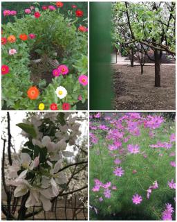 Talas guest house - Talas - 9