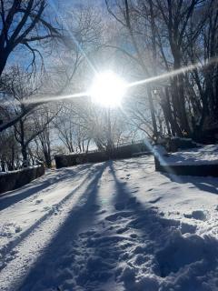 The Gratitude Homestay - 8