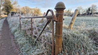 Red Robin Cottage - 9