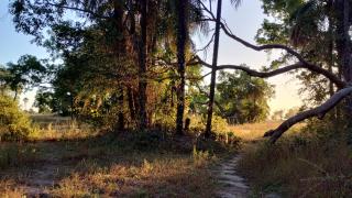 Campement Adia Fougnesse chez Pape Badiane - 9
