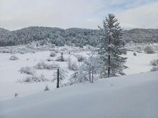 Dimora Colli Bassi - 8