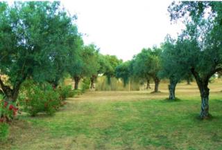 Mágica Casona entre olivos con piscina y chimenea - 2