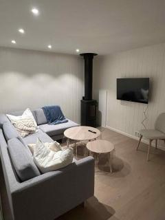 Ny stor hytte med stor uteplass - 6