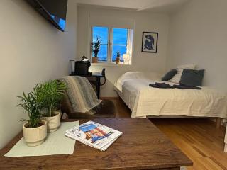 Riverside studioapartment 100m from trainstation! - 3