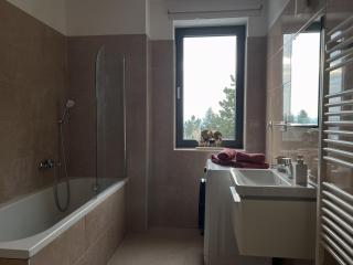 Fabulous View - Newly equipped - Private parking - 2