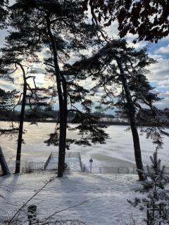 Villa Vilma Antica - 4