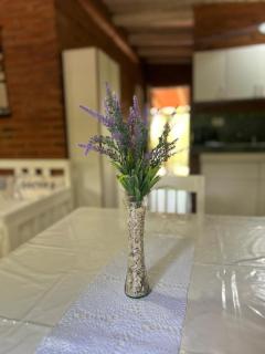 Casita siempre verde - 7