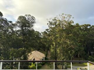 Green Park Apartamento - 3