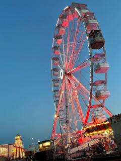 Modern Dog-Friendly Apt Beside Beach- West Beach 1 - 7