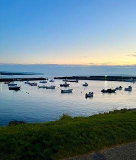 Modern Dog-Friendly Apt Beside Beach- West Beach 1 - 6