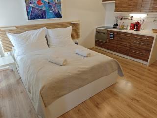 Apartmán SOVA - Klínovec - 5