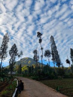 Miarzafa Cabin House DIENG - 1