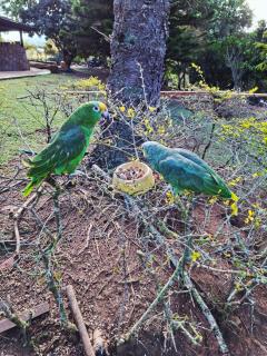 Hotel Cristo Rey Campestre - 2