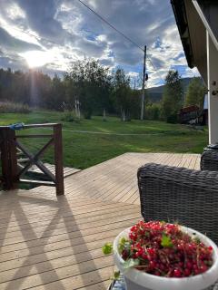 Koselig hytte med mulighet for nordlys og leie av badestamp - 6