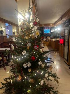 Willa Alpejska - sauna i jacuzzi w cenie - 7