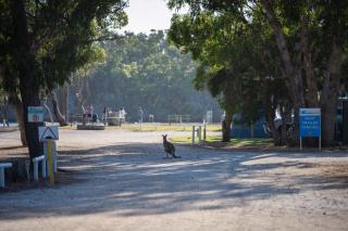 Molloy Holiday Park - 2