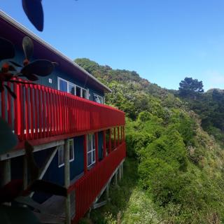 Wellington Vibes - 4