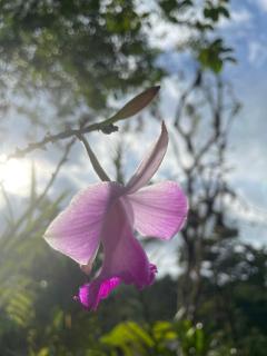 Cabinas Chocuaco - 7