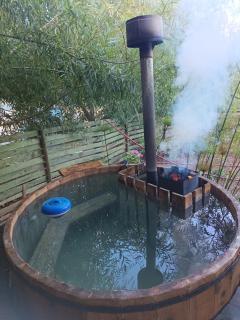 Cabañas con tinajas Litueche - 4