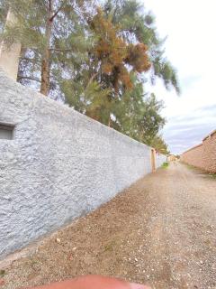 Luxury Villa 4500m 4 Bedroom with Big Private Pool - 3