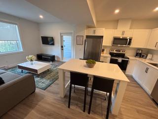 Licensed New & Modern 2 Bedroom Walk Out Suite - 2
