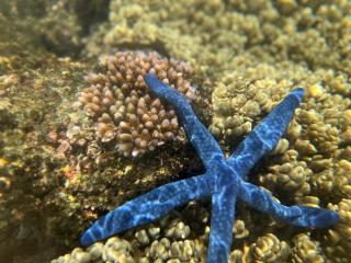 The Oasis Bukura - Beautiful Beachfront Villa - 1